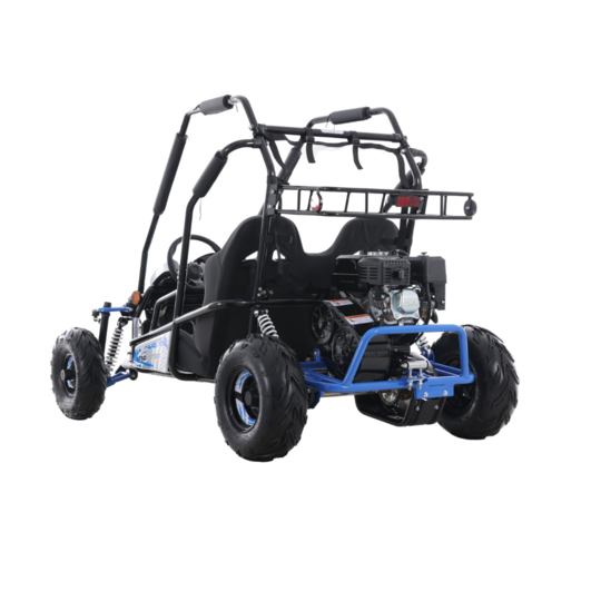 Tao Motor Baja Sprinter 200 Go-Kart