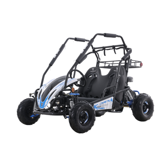 Tao Motor Baja Sprinter 200 Go-Kart