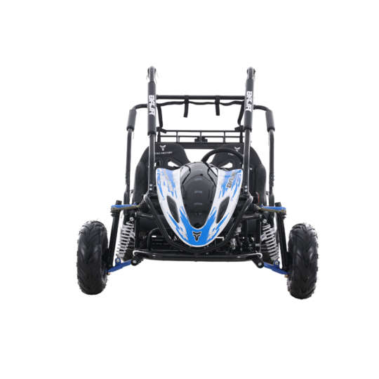 Tao Motor Baja Sprinter 200 Go-Kart