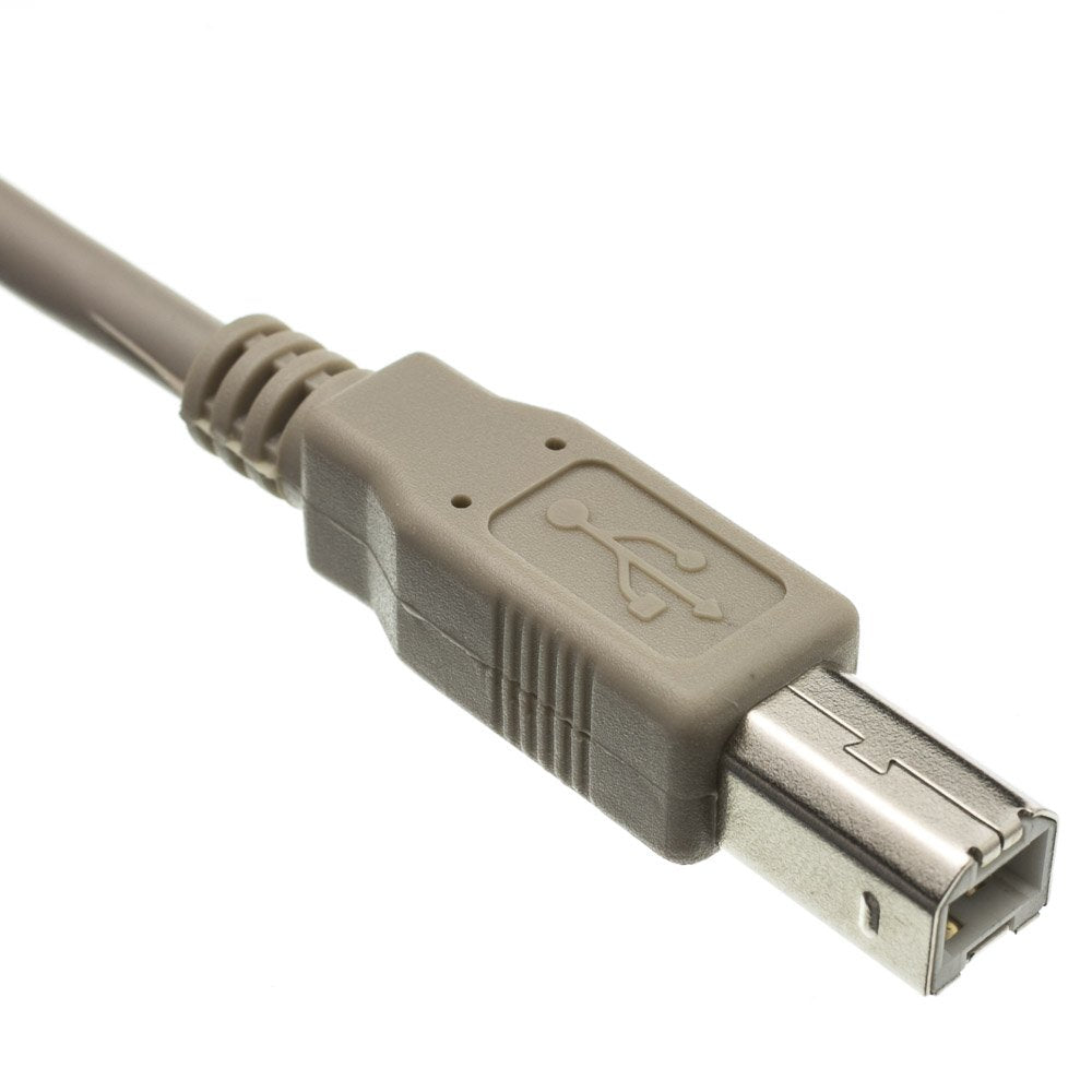 CableWholesale 6 feet USB 2.0 Printer/Device Cable, Beige, Type A Male/Type B Male Plug, A Male to B Male High Speed USB Cable, USB 2.0 to Type B Cable, Type B Printer Cable
