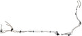 Dorman 919-874 Front Stainless Steel Fuel Line Kit Compatible with Select Chevrolet/GMC Models (OE FIX)
