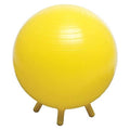 Champion Barbell Stability Ball with Feet, 65cm