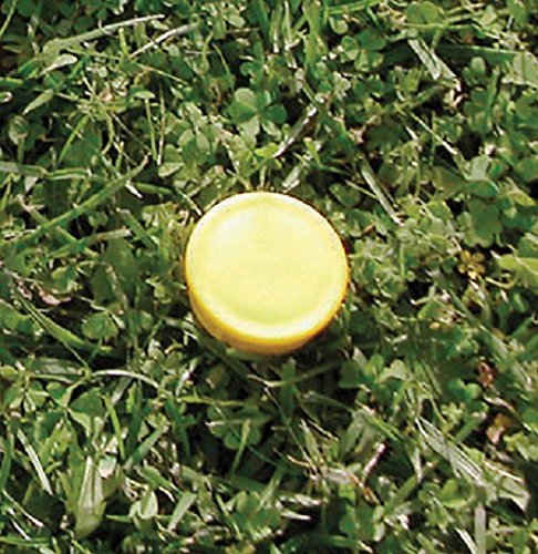 Markers Socket Caps (Set of 12), Yellow
