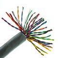 CAT5E 25 Pair / 24CMR Blue ESX 1000FT