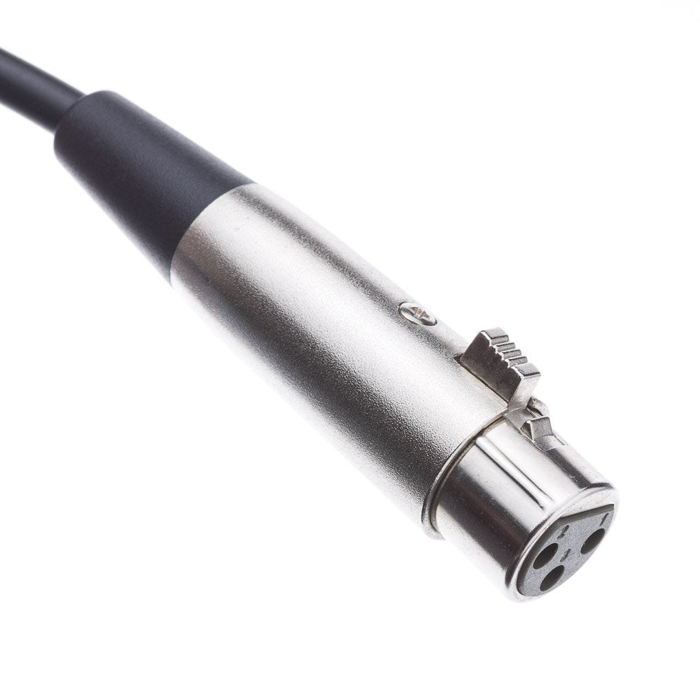 CableWholesale 3-Pin XLR Female to 1/4" Mono Male Audio Cable, 24 AWG Microphone Cable, 10 feet