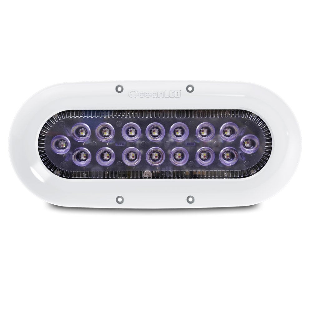Ocean LED X-Series X16 - Colors LEDs