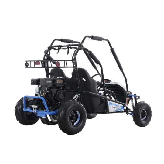 Tao Motor Baja Sprinter 200 Go-Kart