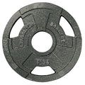 Champion Olympic Grip Plate (5-pound)