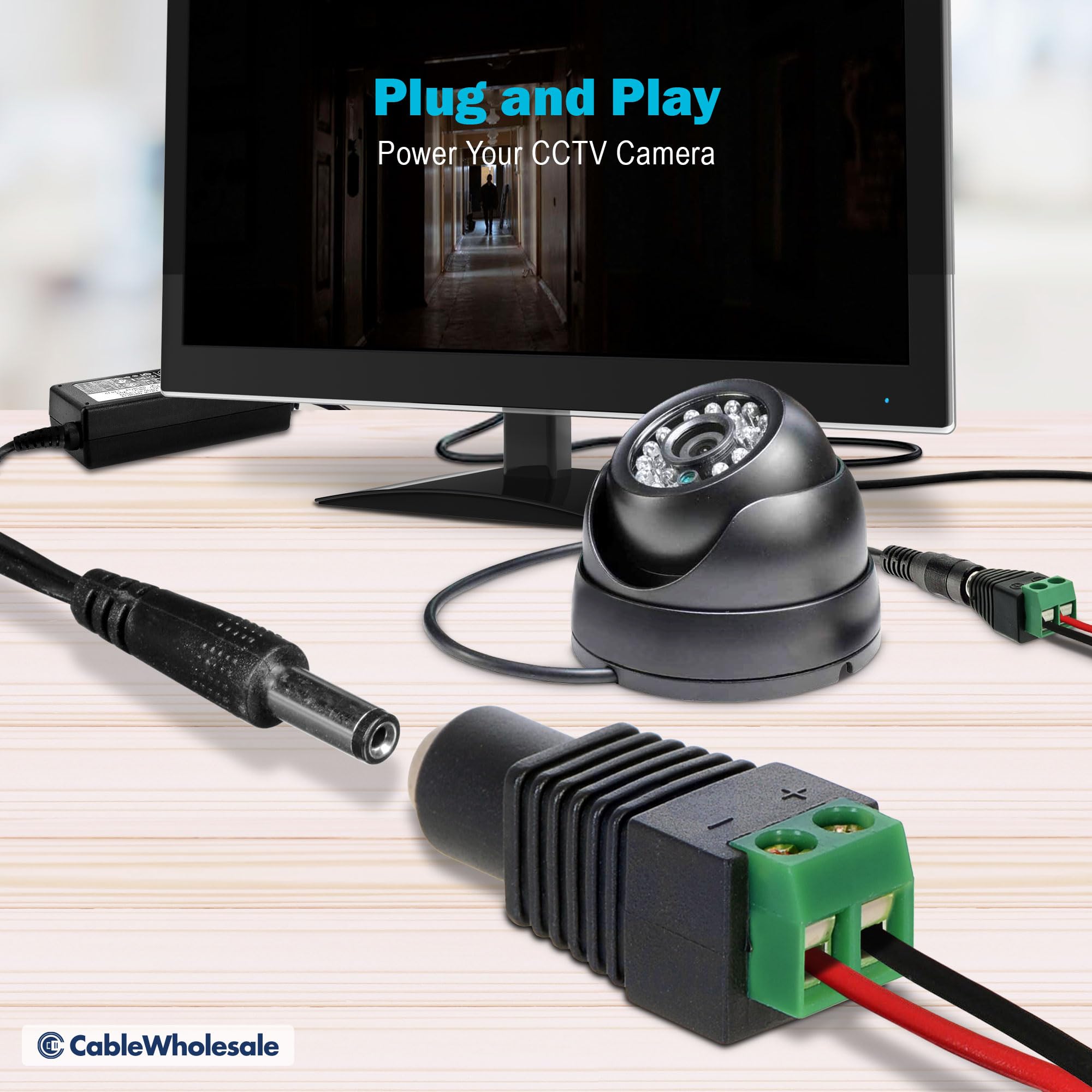 CableWholesale DC Male Power Plug to 2 Pin Terminal (Screw Down) Adapter