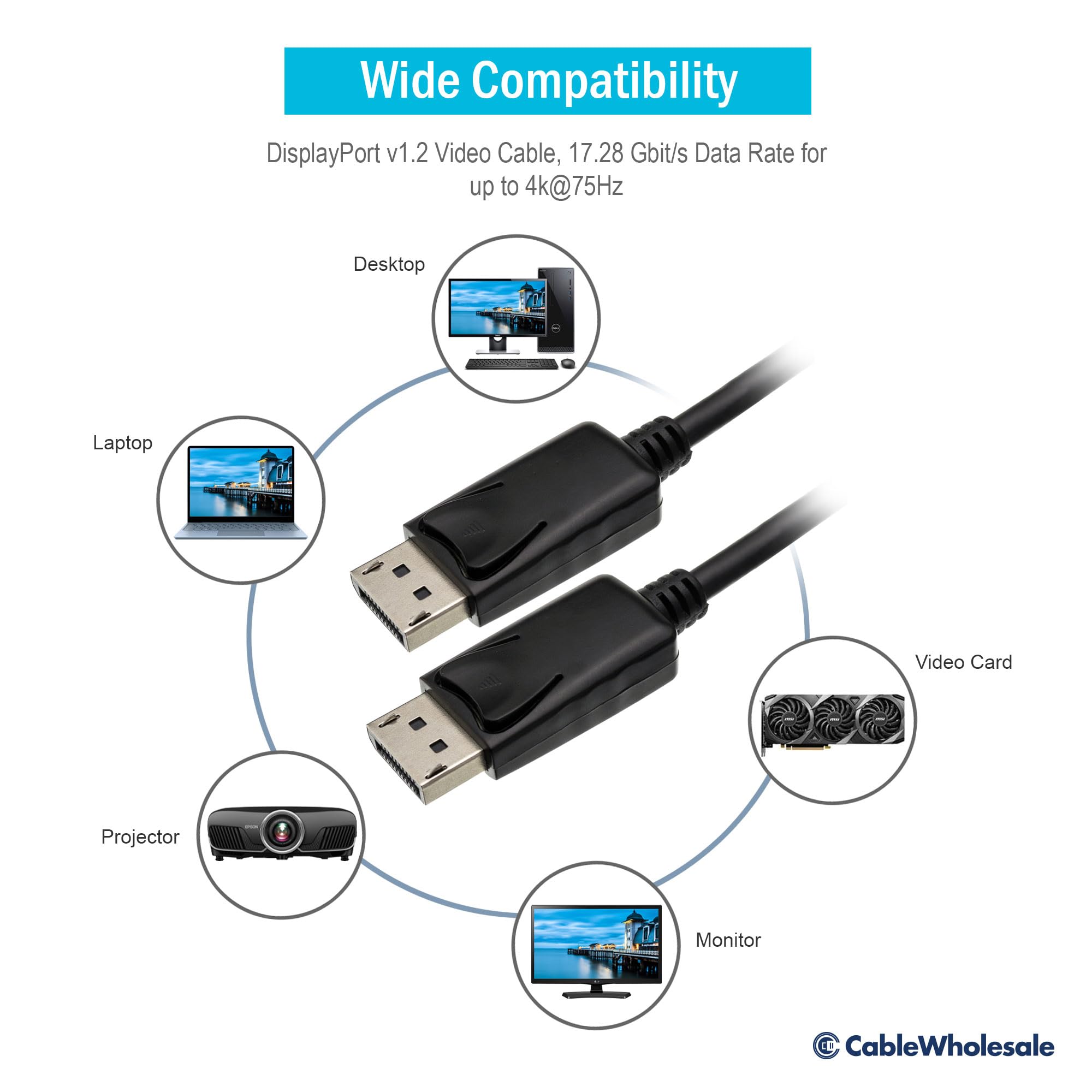 DisplayPort v1.2 Video Cable, 17.28 Gbit/s Data Rate for up to 4k@75Hz, DisplayPort Male, 10 Foot