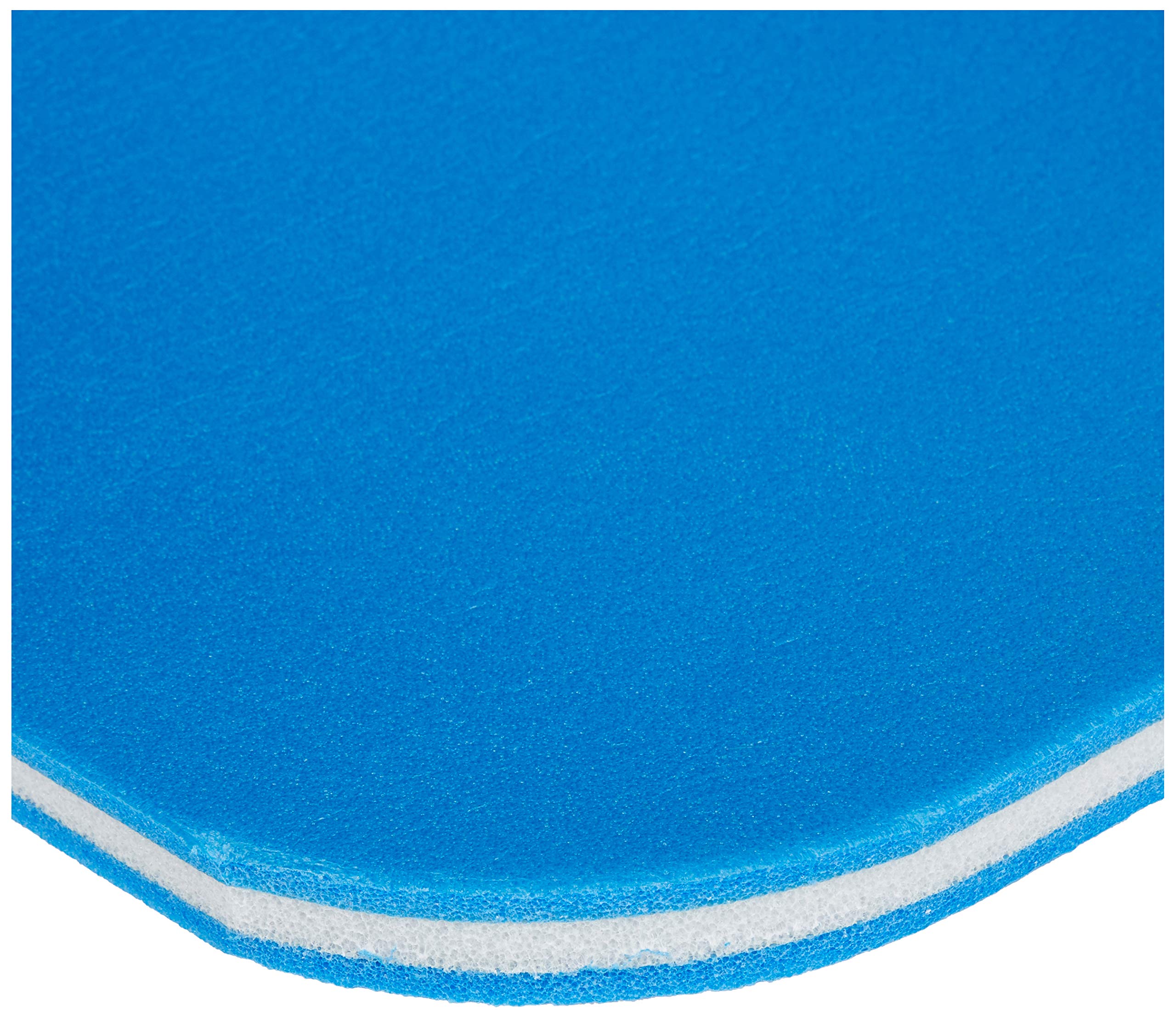Dual-Density Workout Mat (EA)