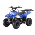 Tao Motor B1 (BoulderB1) ATV