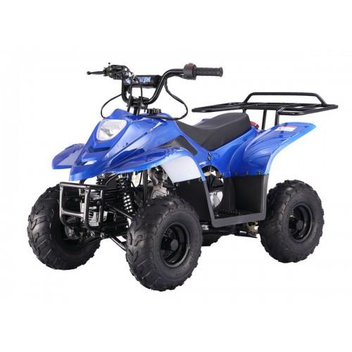 Tao Motor B1 (BoulderB1) ATV