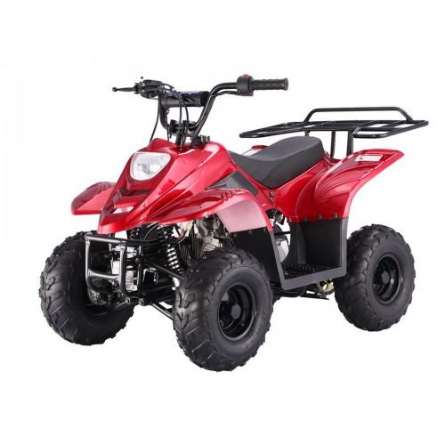 Tao Motor B1 (BoulderB1) ATV - Burgundy