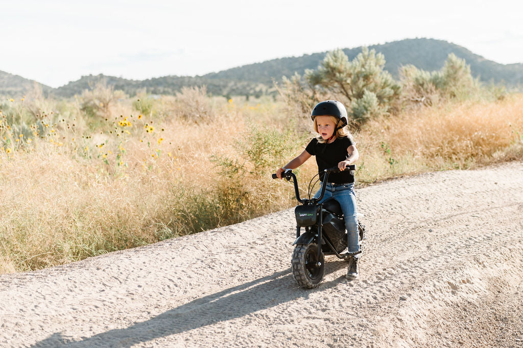 250W EV Mini Bike