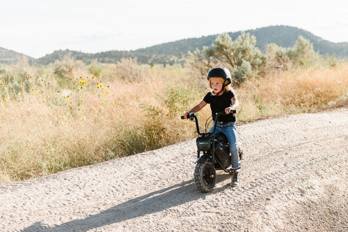 250W EV Mini Bike
