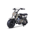 Tao Motor RT100 Mini Bike