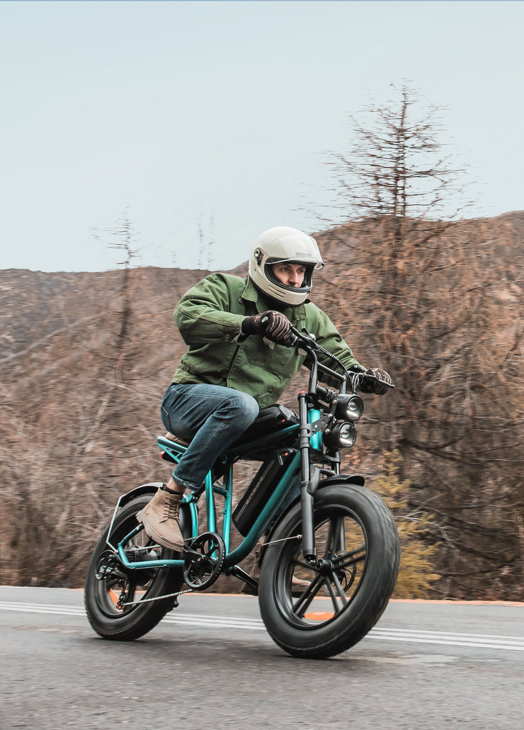 ENGWE M20 electric bike double battery