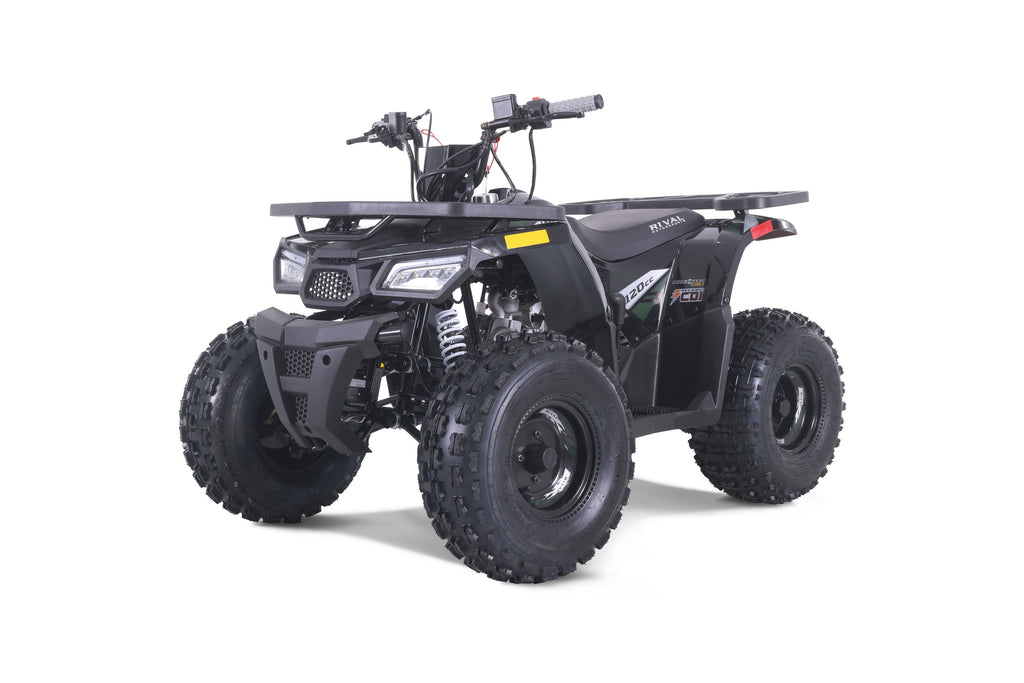Tao Motor MudHawk 10 ATV - Black/Green