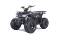 Tao Motor MudHawk 10 ATV - Black/Green
