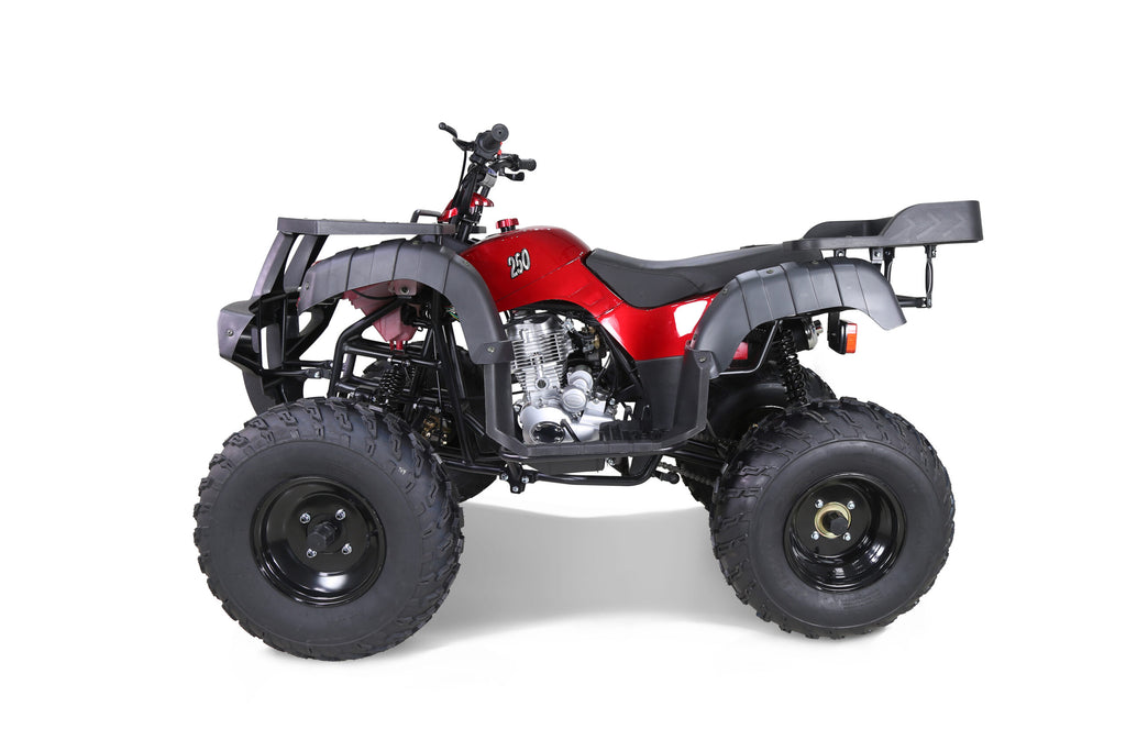 Tao Motor RHINO 250 ATV - Red