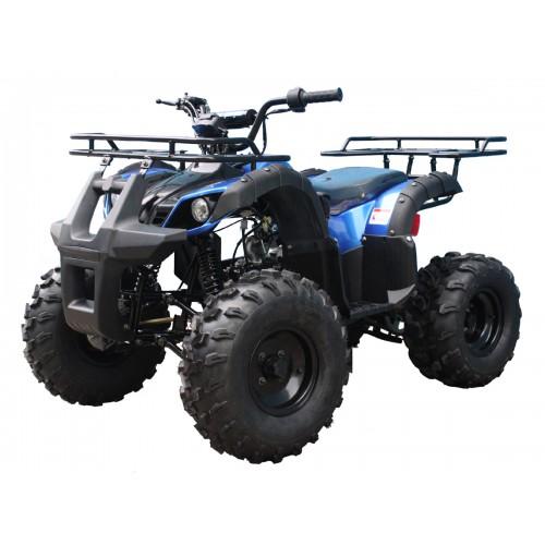 Tao Motor T125 (TForce) ATV