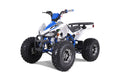 Tao Motor Cheetah Platinum ATV - Blue