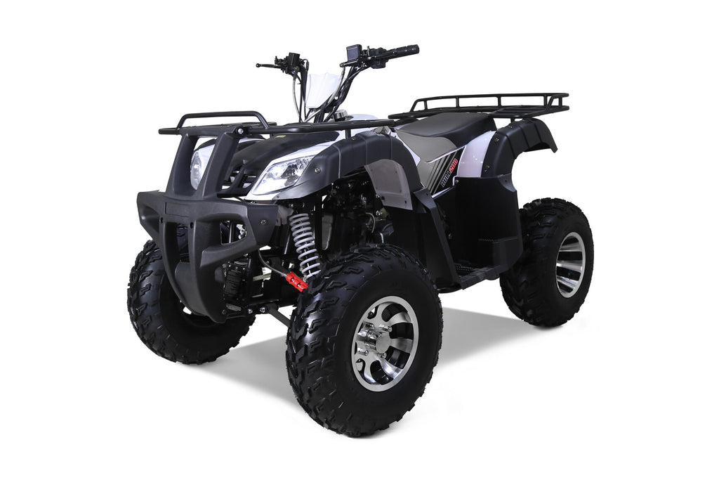 Tao Motor BULL 200S ATV - Silver