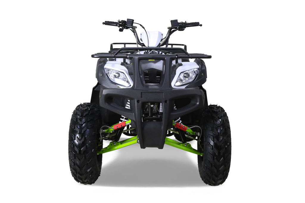 Tao Motor BULL 200S ATV - Green