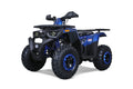 Tao Motor Raptor 200 (G200) ATV - Blue