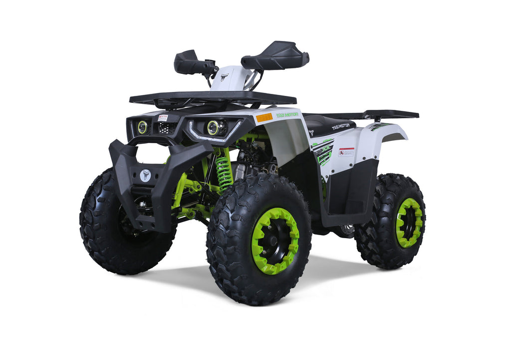 Tao Motor Raptor 200 (G200) ATV - Green