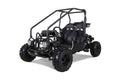 Tao Motor GK110 Go-Kart - Black